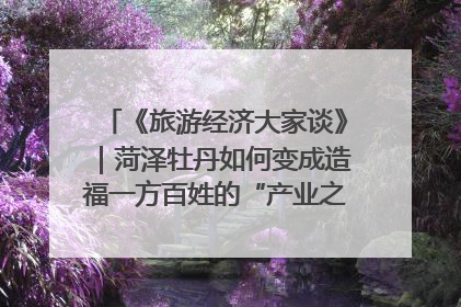 《旅游经济大家谈》｜菏泽牡丹如何变成造福一方百姓的“产业之花”“富民之花”？