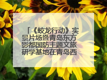 《蛟龙行动》实景片场暨青岛东方影都国防主题文旅研学基地在青岛西海岸新区开业
