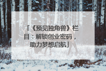 《预见独角兽》栏目：解锁创业密码，助力梦想启航