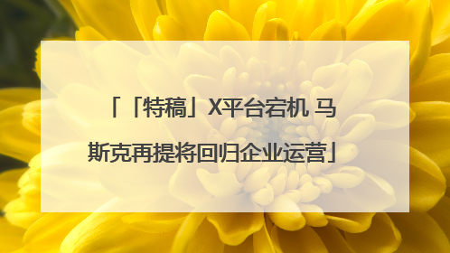 「特稿」X平台宕机 马斯克再提将回归企业运营