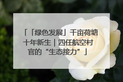 「绿色发展」千亩荷塘 十年新生|四任航空村官的“生态接力”
