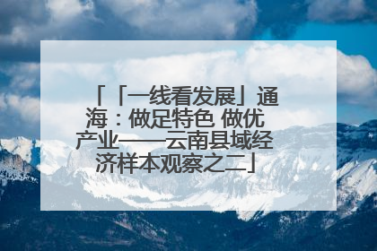 「一线看发展」通海：做足特色 做优产业——云南县域经济样本观察之二