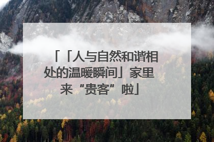 「人与自然和谐相处的温暖瞬间」家里来“贵客”啦