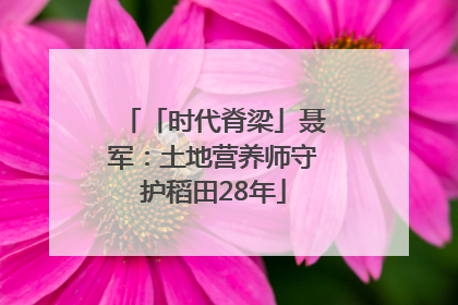 「时代脊梁」聂军：土地营养师守护稻田28年