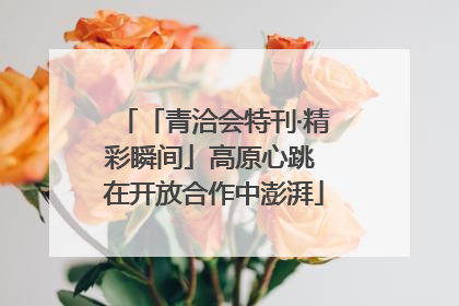「青洽会特刊·精彩瞬间」高原心跳 在开放合作中澎湃