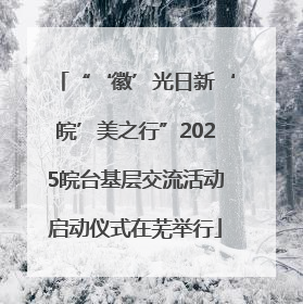 “‘徽’光日新‘皖’美之行”2025皖台基层交流活动启动仪式在芜举行