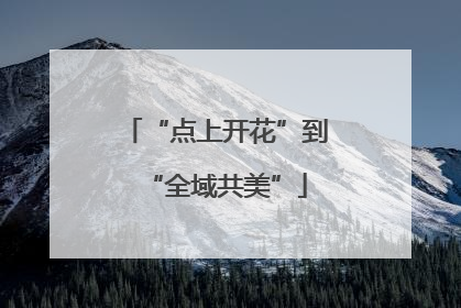 “点上开花”到“全域共美”