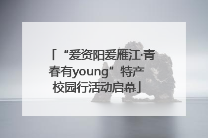 “爱资阳爱雁江·青春有young”特产校园行活动启幕
