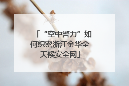 “空中警力”如何织密浙江金华全天候安全网