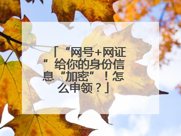 “网号+网证”给你的身份信息“加密”！怎么申领？