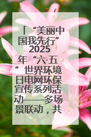 “美丽中国我先行” 2025年“六·五”世界环境日电网环保宣传系列活动——多场景联动，共筑生态发展新图景
