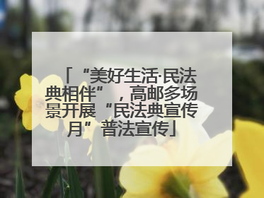 “美好生活·民法典相伴”，高邮多场景开展“民法典宣传月”普法宣传