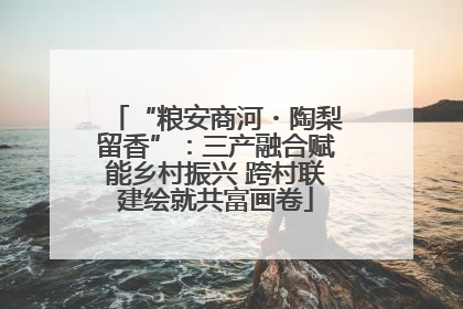 “粮安商河・陶梨留香”：三产融合赋能乡村振兴 跨村联建绘就共富画卷