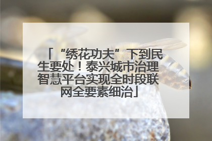 “绣花功夫”下到民生要处！泰兴城市治理智慧平台实现全时段联网全要素细治