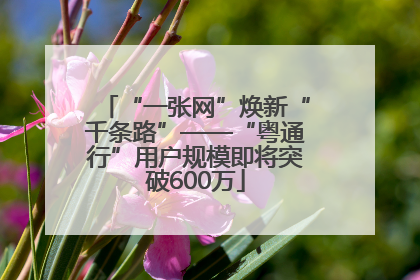 “一张网”焕新“千条路”——“粤通行”用户规模即将突破600万