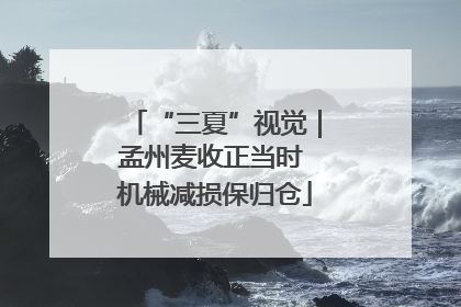 “三夏”视觉｜孟州麦收正当时 机械减损保归仓