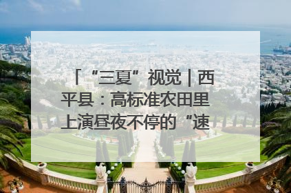 “三夏”视觉｜西平县：高标准农田里上演昼夜不停的“速度与激情”
