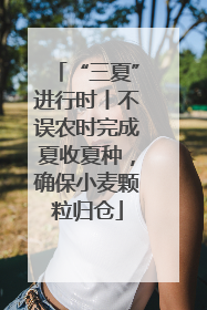 “三夏”进行时丨不误农时完成夏收夏种，确保小麦颗粒归仓