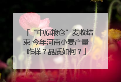 “中原粮仓”麦收结束 今年河南小麦产量咋样？品质如何？
