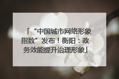 “中国城市网络形象指数”发布！衡阳：政务效能提升治理形象