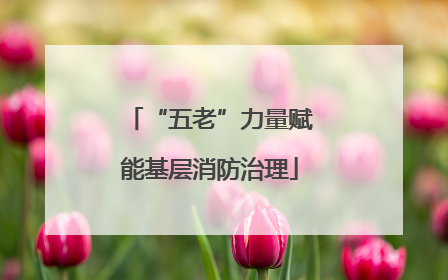 “五老”力量赋能基层消防治理