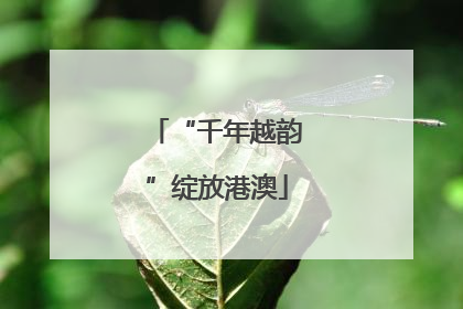 “千年越韵”绽放港澳