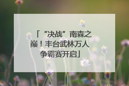 “决战”南森之巅！丰台武林万人争霸赛开启