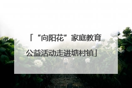 “向阳花”家庭教育公益活动走进塘村镇