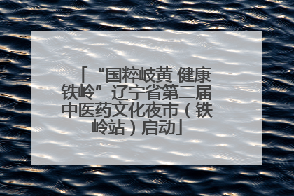 “国粹岐黄 健康铁岭”辽宁省第二届中医药文化夜市（铁岭站）启动