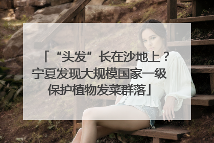 “头发”长在沙地上？宁夏发现大规模国家一级保护植物发菜群落