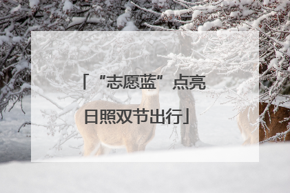 “志愿蓝”点亮日照双节出行