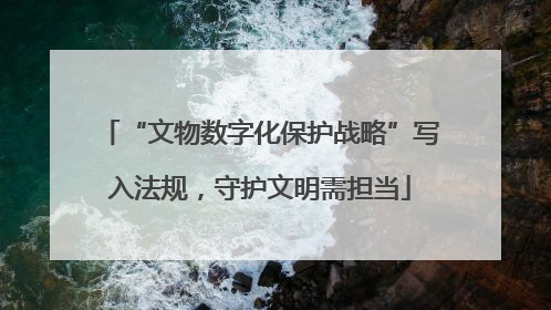 “文物数字化保护战略”写入法规，守护文明需担当