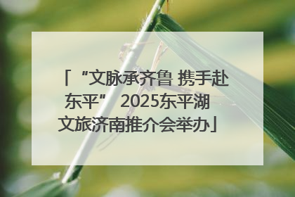“文脉承齐鲁 携手赴东平” 2025东平湖文旅济南推介会举办
