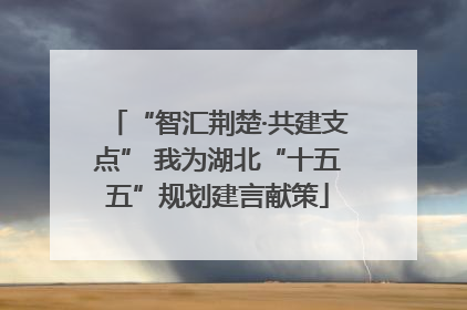 “智汇荆楚·共建支点” 我为湖北“十五五”规划建言献策