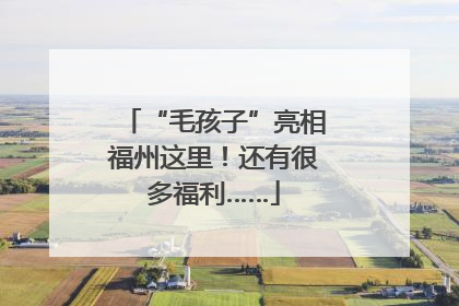 “毛孩子”亮相福州这里！还有很多福利……