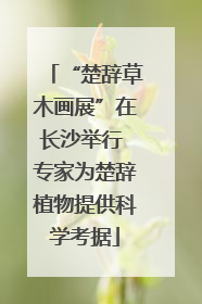 “楚辞草木画展”在长沙举行 专家为楚辞植物提供科学考据
