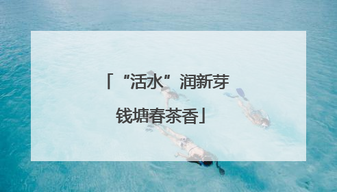 “活水”润新芽 钱塘春茶香