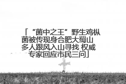 “菌中之王”野生鸡枞菌被传现身合肥大蜀山 多人跟风入山寻找 权威专家回应市民三问