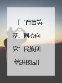 “育苗筑基、同心向党”民族团结进校园
