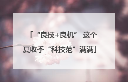 “良技+良机” 这个夏收季“科技范”满满