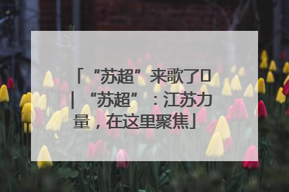 “苏超”来歌了⑪｜“苏超”：江苏力量，在这里聚焦
