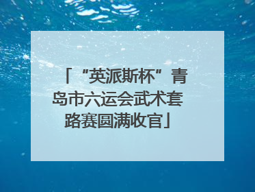 “英派斯杯”青岛市六运会武术套路赛圆满收官