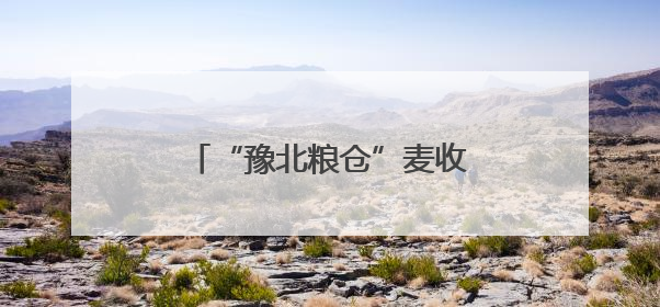 “豫北粮仓”麦收跑出“加速度”