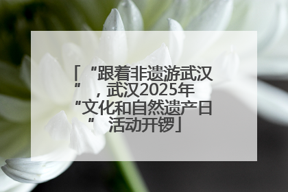 “跟着非遗游武汉”，武汉2025年“文化和自然遗产日” 活动开锣