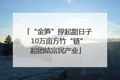 “金笋”撑起甜日子 10万亩方竹“链”起团结富民产业