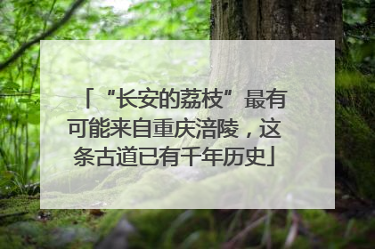 “长安的荔枝”最有可能来自重庆涪陵，这条古道已有千年历史
