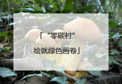 “零碳村” 绘就绿色画卷