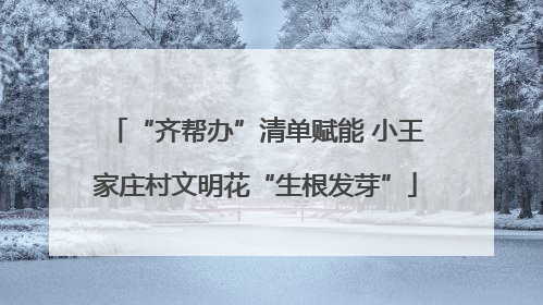 “齐帮办”清单赋能 小王家庄村文明花“生根发芽”
