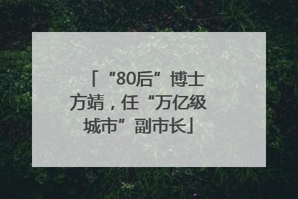 “80后”博士方靖，任“万亿级城市”副市长
