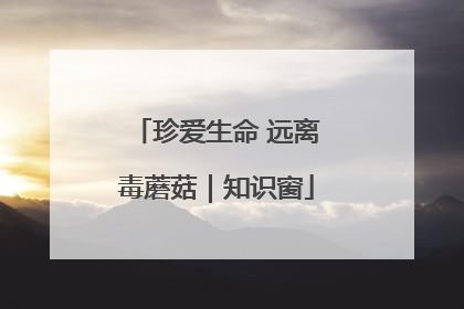 珍爱生命 远离毒蘑菇｜知识窗